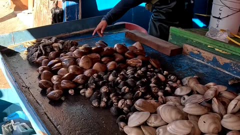 Fish Market in Popotla Mexico