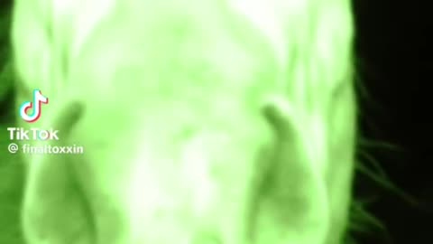 my trail cam caught a unicorn