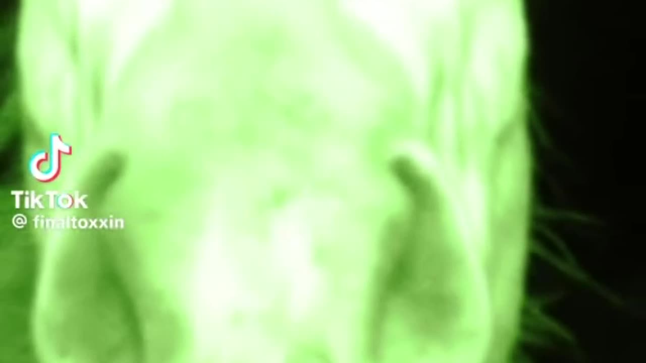 my trail cam caught a unicorn