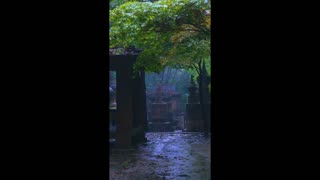 Inner Bloom – calm growing from within.