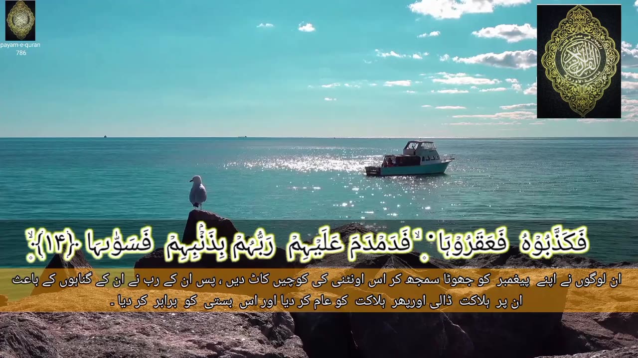 Beautiful Quran recitation #allah#quran#islam#islamicvideo