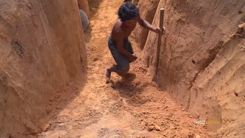 Survival