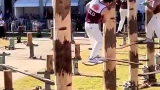 Wood chopping competition in Australia