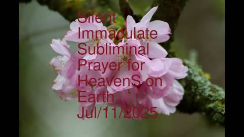 Silent Immaculate Subliminal Prayer for HeavenS on Earth Jul-11-2025