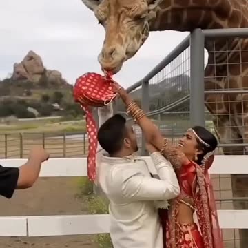 When Everything Goes Wrong… Fast! #EpicFails #fail #failcompilation