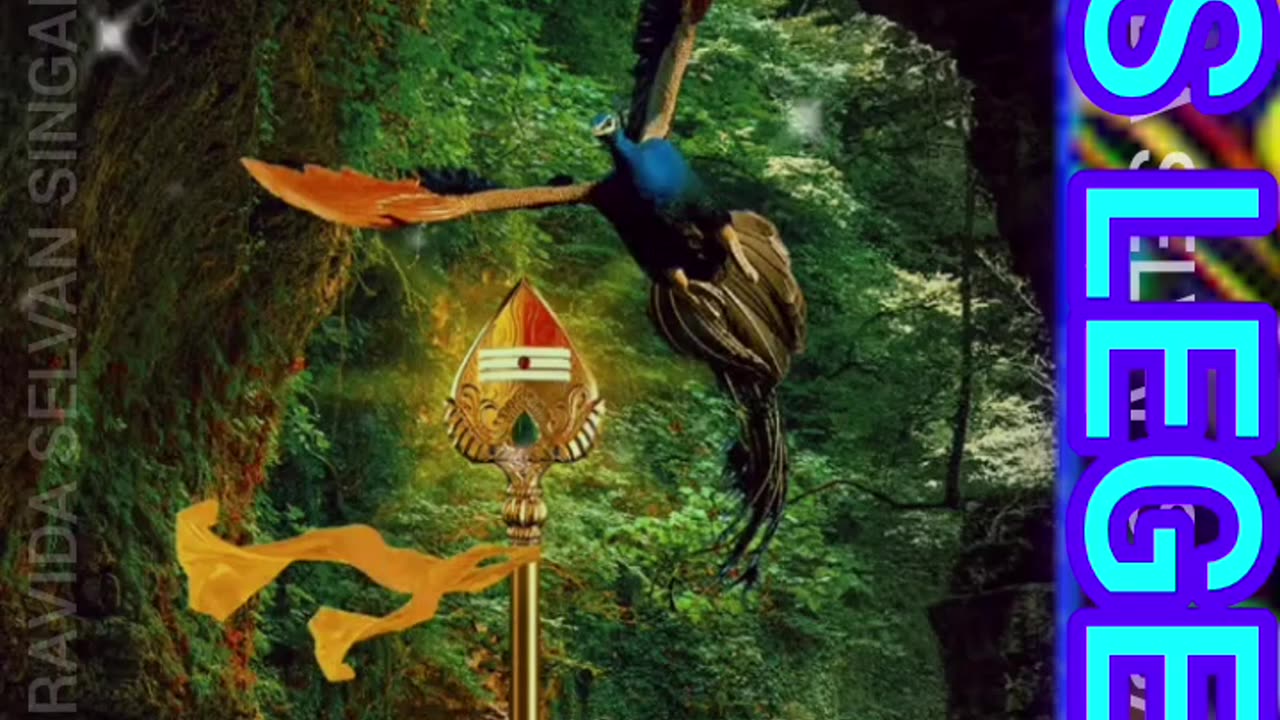 சண்முக நாயகன் தோன்றிடுவான் முருகா TMS LEGEND M.THIRAVIDA SELVAN SINGAPORE TMS FANS 2025