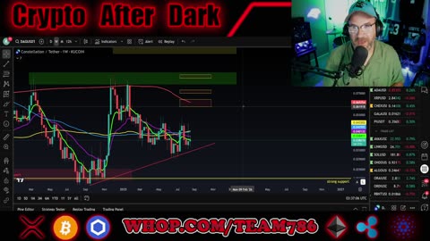 MORE BLOOD from BTC! YIKES! How far will it go? LIVE CHARTS!!
