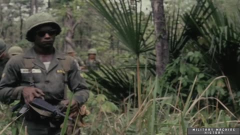 Vietnam The Real Platoon