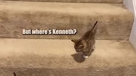 Stairs!