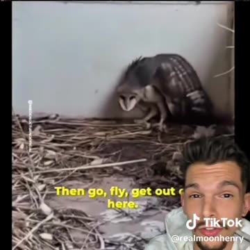 RMH - thing was FAST