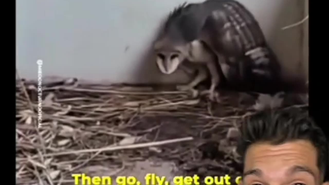 RMH - thing was FAST