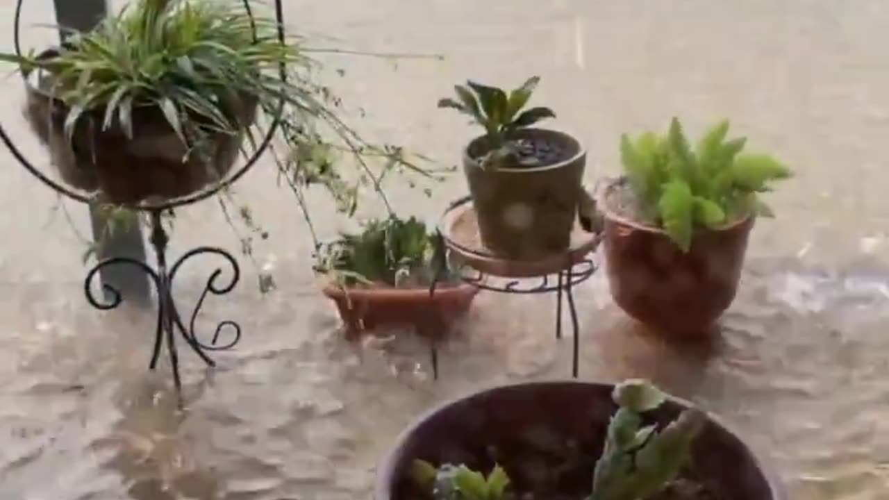 Major flooding occurred due to heavy rain in Seguin, Texas, USA 🇺🇸 (05.07.2025)