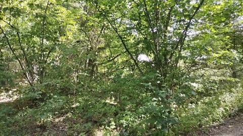 obserwują ...obserwują ...