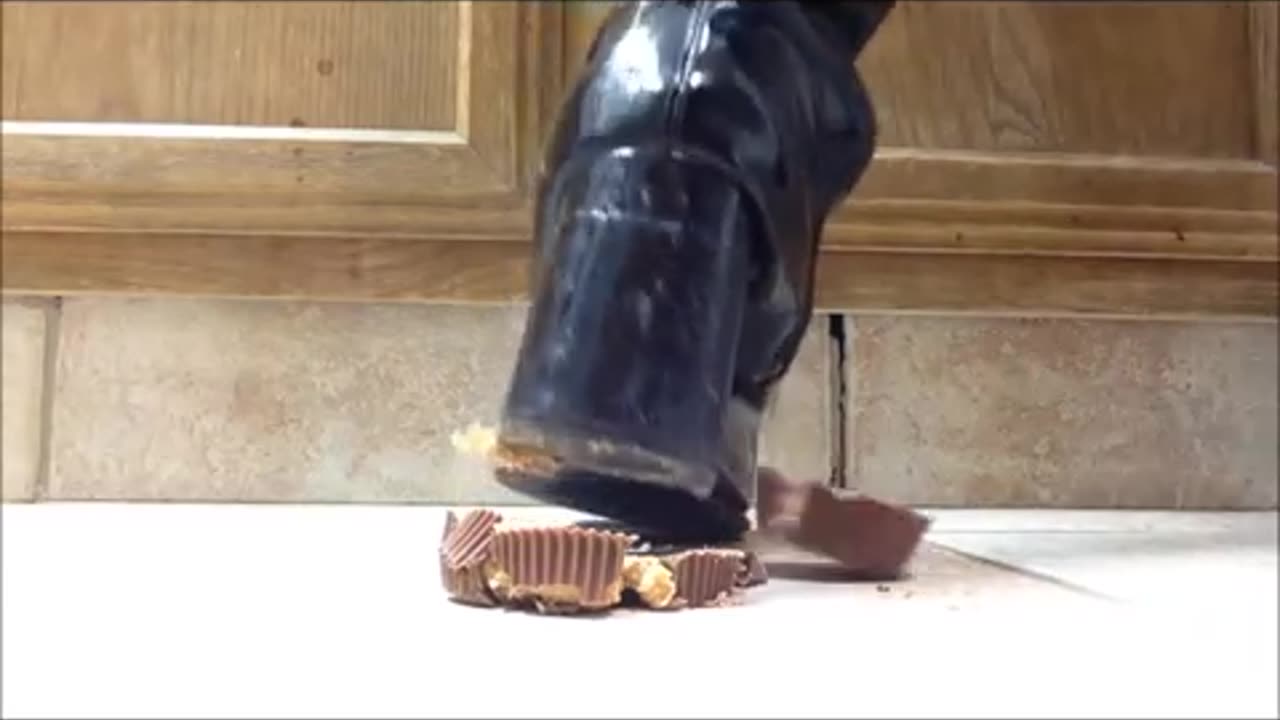 PB Cup Crushed in the Kitchen - Candid