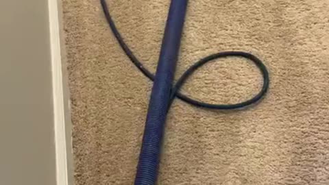 Professional Carpet Cleaning in Charlotte, NC | RedLine Cleaners