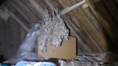 😨🏠 What's in the Attic? Unexplained Mystery | TheHauntingHour