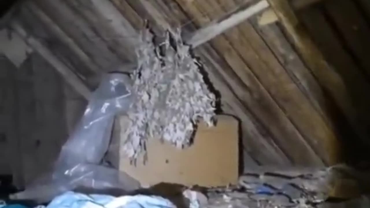 😨🏠 What's in the Attic? Unexplained Mystery | TheHauntingHour