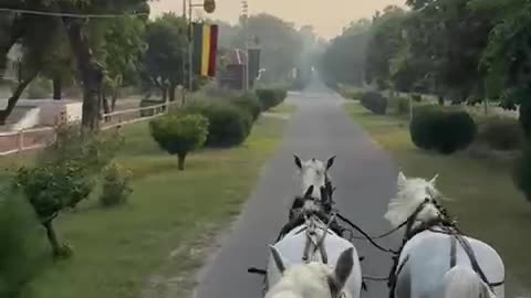 Horse barn visit
