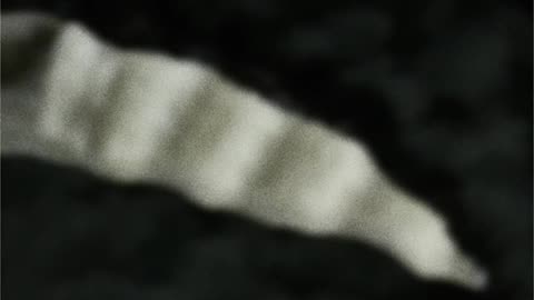 WAV - Dark Mess Atmos