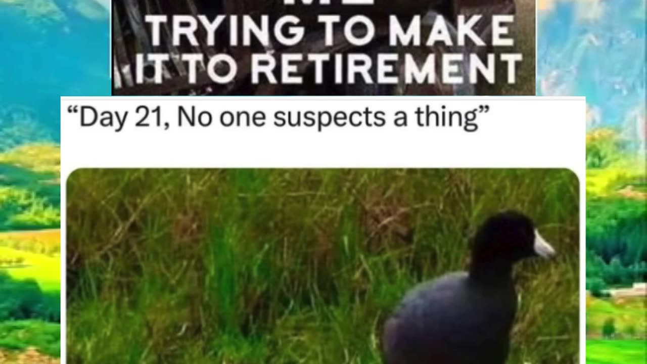 Memes of the day | funny memes | #funny