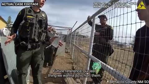 Police Face Off Against Armed 7 and 9-Year-Olds