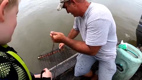 5 Days Fishing & Camping in Swamp - Catch & Cook Frogs, Gar, Crabs, Catfish & Buffalo._part1