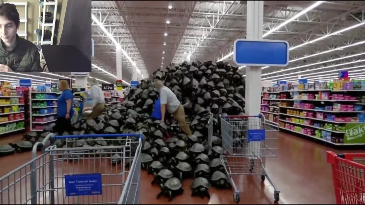 Over 50 Fictitious Turtles Roam Around A Walmart Supercenter Fake Strange Video