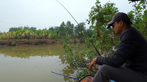 Vlog Perfecting Perch Fishing on the River