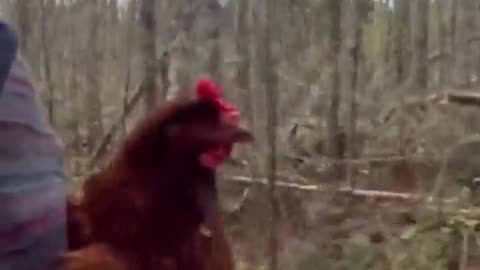 😂🎶 Wait For the Doot Doot Doot Doot... | FunFM