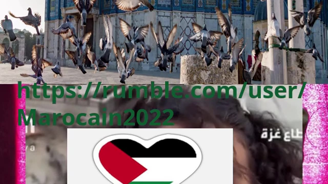 A Palestinian girl sends a shocking message to Trump #Trump