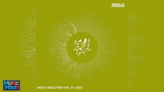 VA - Redux Selection, Vol. 11 / 2025 (2025)