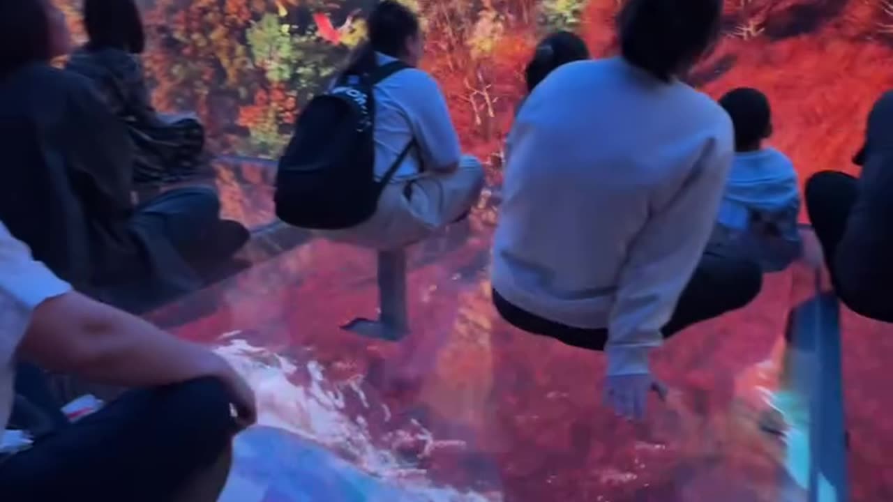Step Into Another Dimension of Cinema! 🎥✨ | Hojisphere