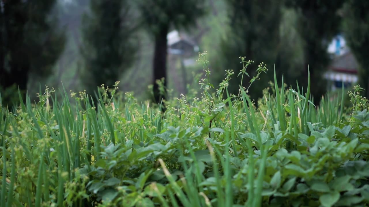 wonokerso destination