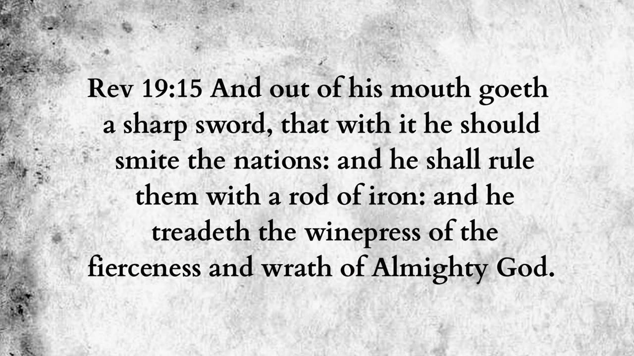 Martus Ministry -335- Colt and grapes