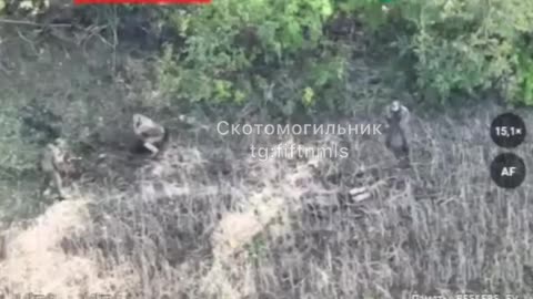 Capturing a piggy