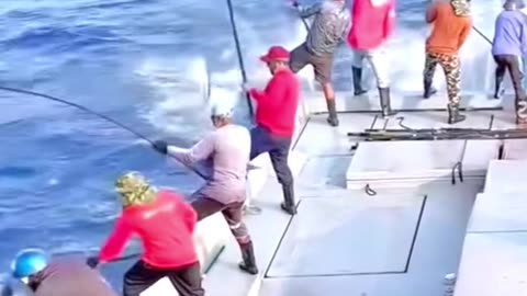 Tuna Fishing In The Sea #fishing #seafishing #shorts