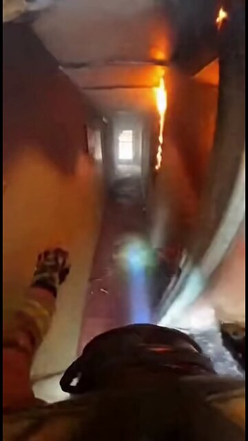 пожарник спасает кота