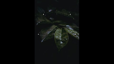 Hadees e nabvi ( saw) #islam #viralvideos #islamicreminders #prophetmuhammadsaw #hadeesenabvi