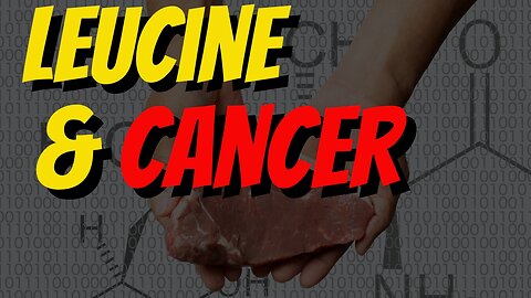Leucine rich diets like Carnivore on cancer cells