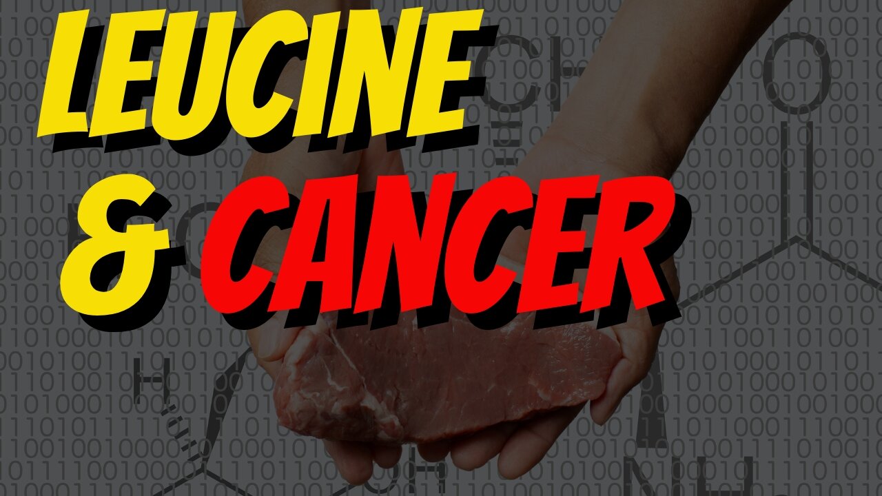 Leucine rich diets like Carnivore on cancer cells