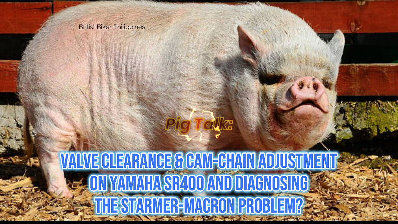 Why Are Western Leaders So Crazy? (And Adjusting Valve Clearances on Yamaha SR400)