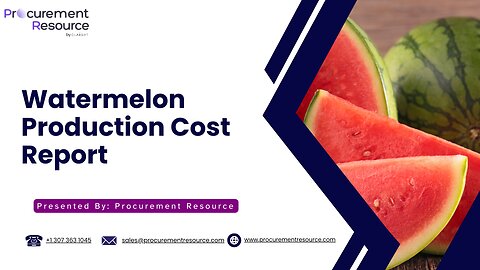 Watermelon Production Cost Analysis Report