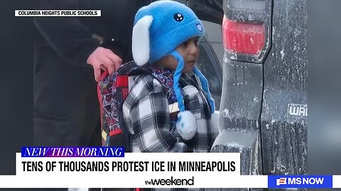 ‘That is nuts’: ICE claims it has ‘fantastic’ child care after detaining 5-year-old