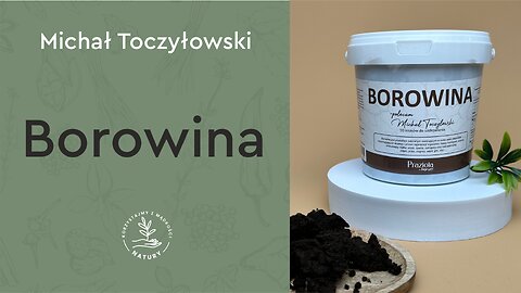 Borowina