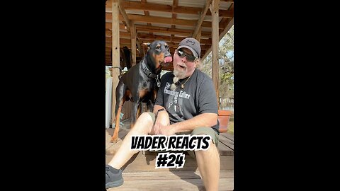 Vader Reacts #24: He Reacted Before the Joke Even Started 🐾🤣