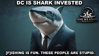 .11.25: D.C. filled with SHARKS, We CAUGHT [THEM] all, COMMS are getting hot, [F]ishing is FUN, Pra