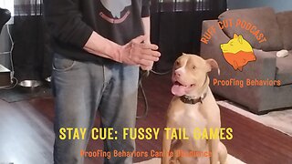 George and the Stay Cue 10 fussy tails