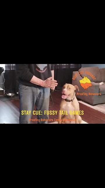 George and the Stay Cue 10 fussy tails