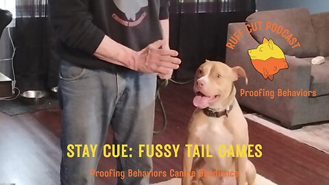 George and the Stay Cue 10 fussy tails