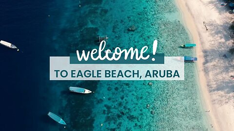 Escape to Paradise - Discover Aruba's Hidden Beach Gems! 🌊🌴🙆🤓😎🤩 #travel #facts #life #education 😍😀🤣👐